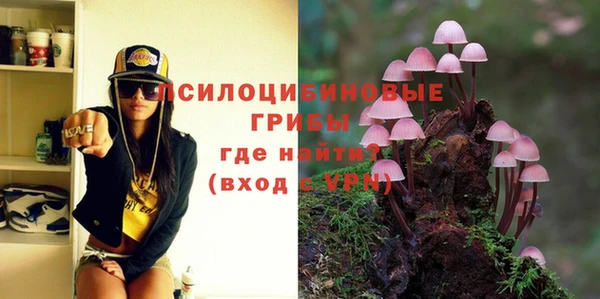 spice Алексин